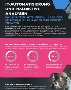 LDI Infografik preview