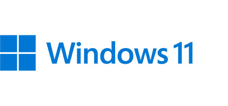 Windows 11